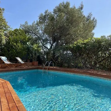 Welcoming In Hyeres